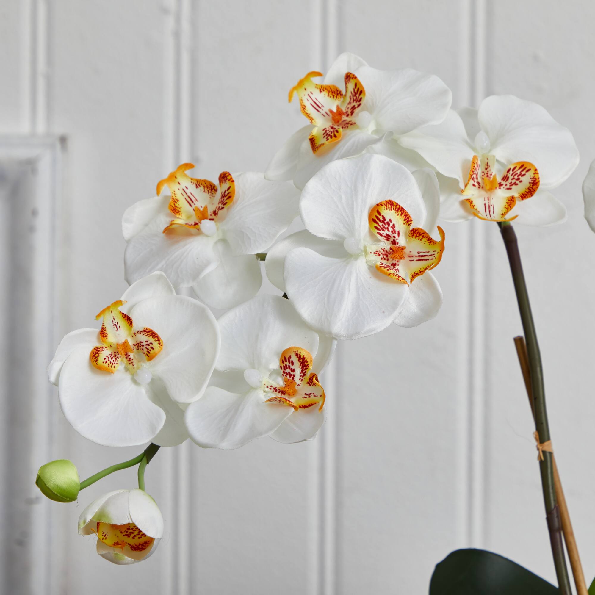 23" White Double Stem Orchid Arrangement in White Textured Vase